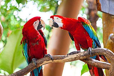 喜加一！《黑道圣徒3：重制版》Epic商城限时免费领取